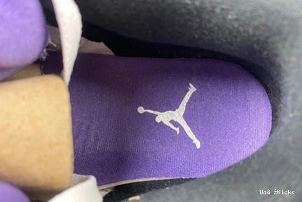 CT8532- 8793 Modern “Dark Air 404 3 Jordan Iris” 0823